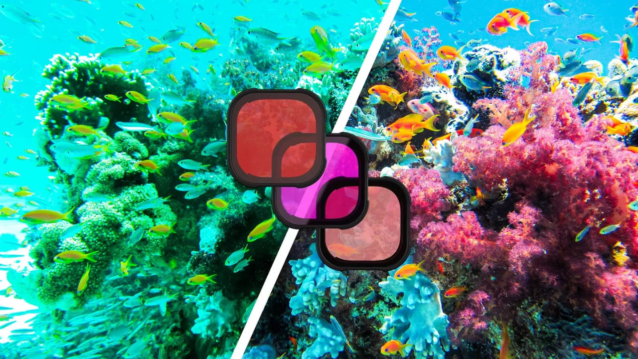 Filtros de mergulho para GoPro: onde, como e quando usá-los?